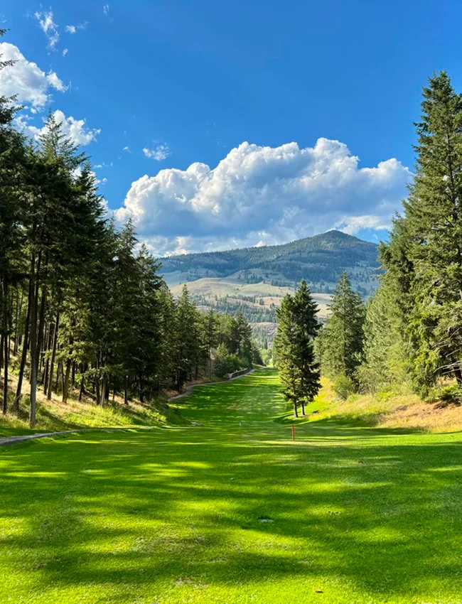 Twin Lakes Golf Resort Background 03