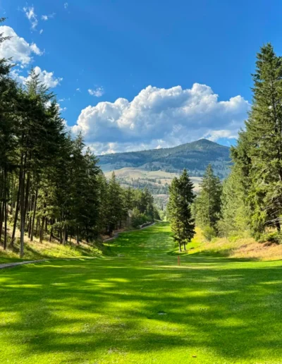 Twin Lakes Golf Resort Background 03