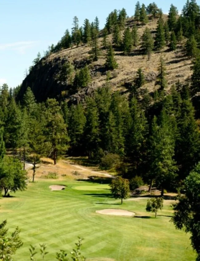 Twin Lakes Golf Resort Background 05