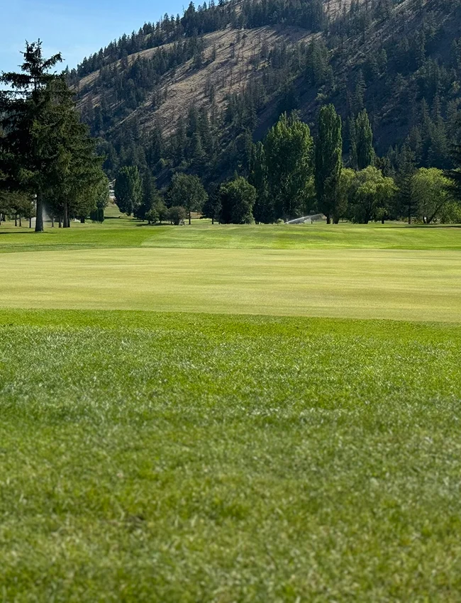 Twin Lakes Golf Resort Background 10