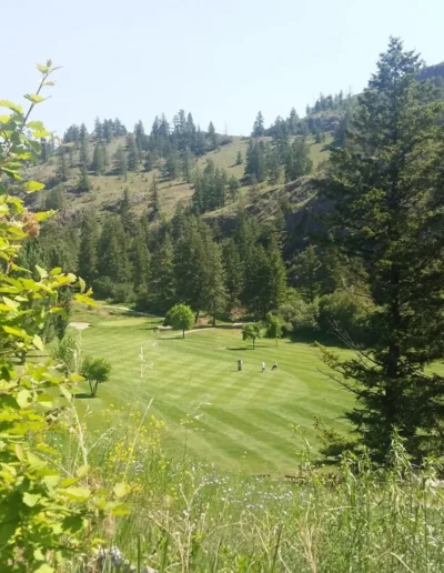 Twin Lakes Golf Resort Background 12